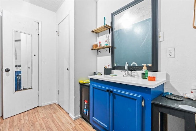 bathroom with wood-type flooring and vanity