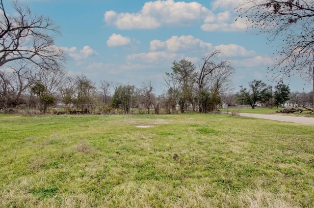 view of yard with a rural view