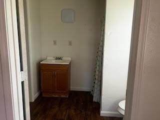 bathroom with vanity, wood-type flooring, and toilet