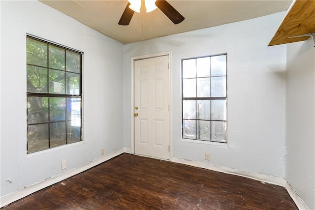 entrance foyer featuring ceiling fan, dark hardwood / wood-style flooring, and a healthy amount of sunlight