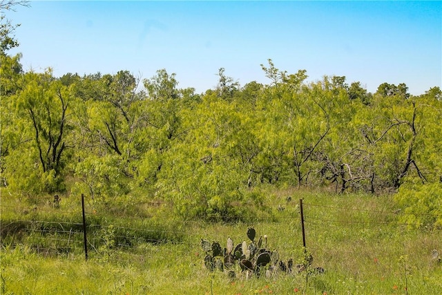 Listing photo 2 for TBD Fm 2269, Cameron TX 76520