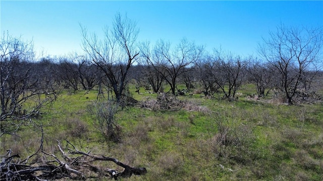 Listing photo 2 for TBD Fm 2269, Cameron TX 76520