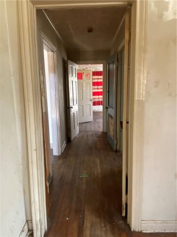 corridor featuring dark hardwood / wood-style floors