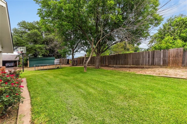 view of yard featuring a trampoline