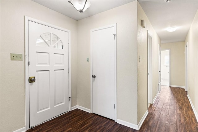 entrance foyer featuring dark hardwood / wood-style floors