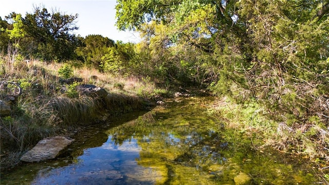 view of local wilderness