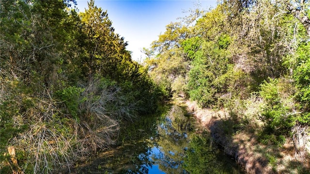 view of local wilderness