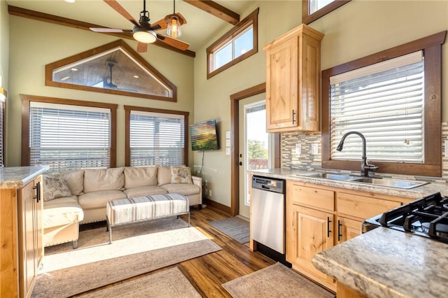 kitchen featuring dishwasher, light brown cabinets, and a healthy amount of sunlight