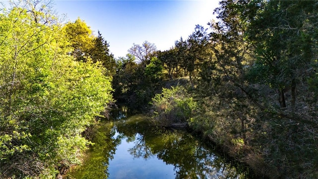 view of local wilderness with a water view