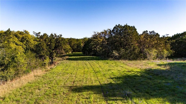 view of local wilderness featuring a rural view