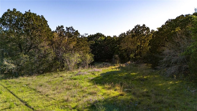 view of local wilderness