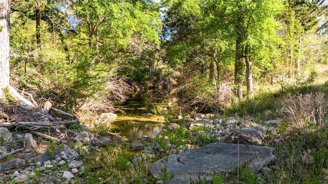 view of landscape