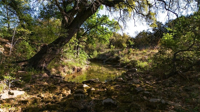 view of nature