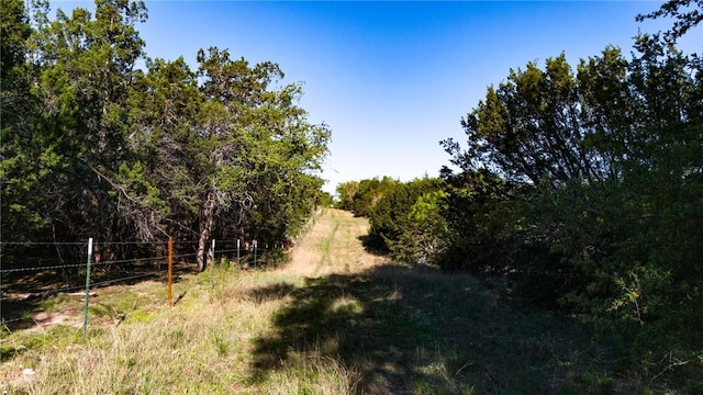 view of local wilderness