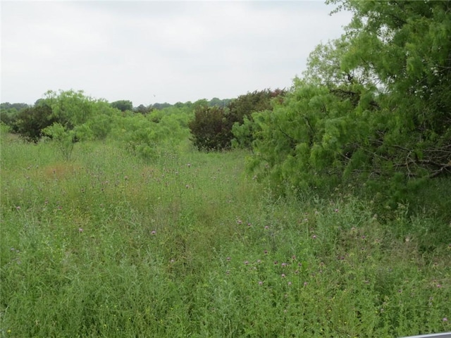 Listing photo 3 for TBD Speegle Rd, Woodway TX 76712