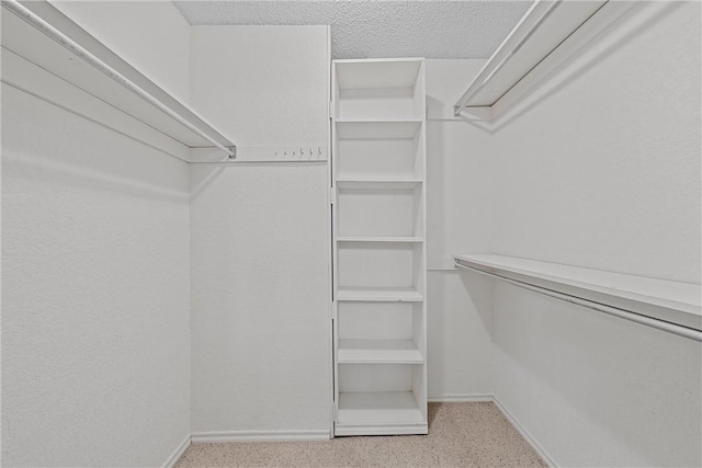 spacious closet featuring light carpet