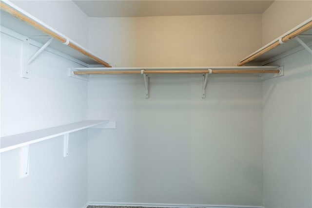 view of spacious closet