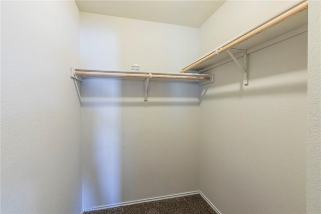 walk in closet with carpet floors