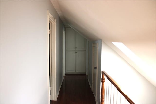 corridor with dark hardwood / wood-style flooring and vaulted ceiling with skylight