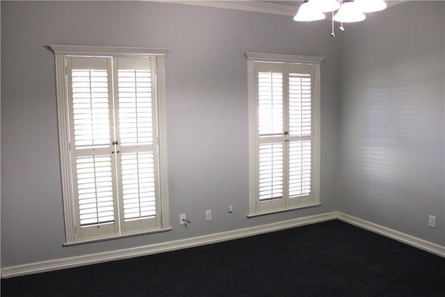 spare room with crown molding and carpet