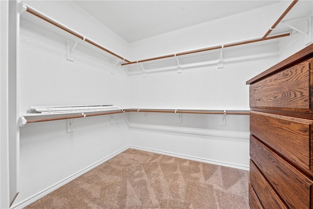 walk in closet featuring light colored carpet