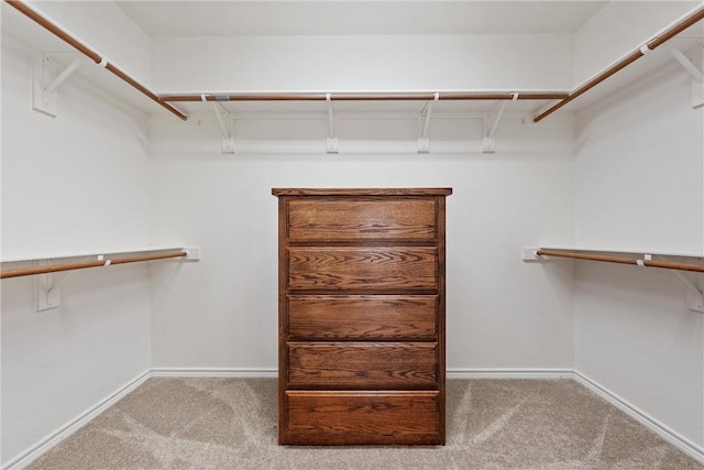 walk in closet with light colored carpet