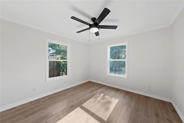 spare room with ceiling fan, light wood-type flooring, and crown molding