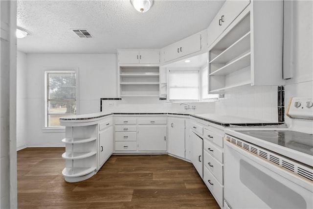 kitchen featuring dark hardwood / wood-style floors, white cabinetry, plenty of natural light, and electric stove