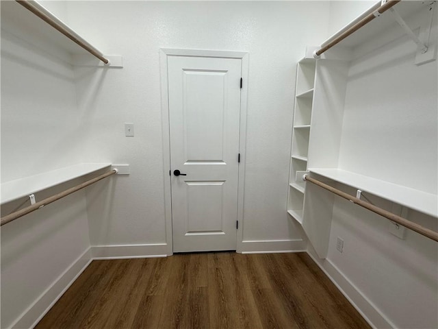 walk in closet featuring dark wood-type flooring