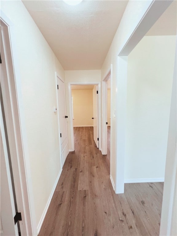 hall featuring light hardwood / wood-style floors