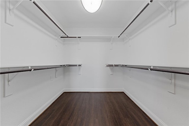 walk in closet with dark hardwood / wood-style flooring