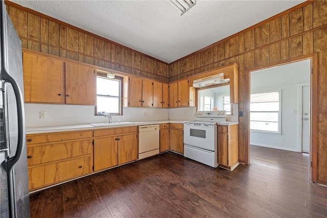 kitchen featuring dark wood finished floors, light countertops, a sink, wooden walls, and white appliances