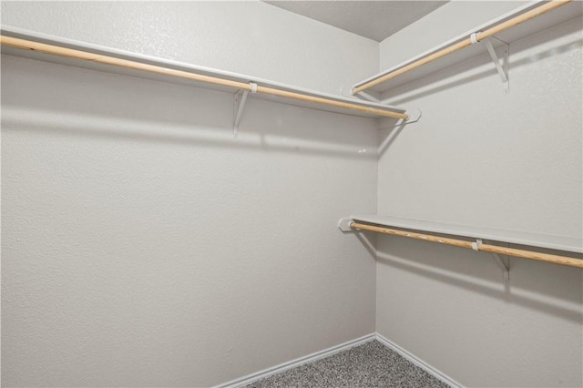 walk in closet with carpet