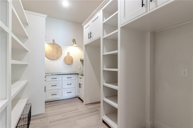 walk in closet featuring light hardwood / wood-style flooring