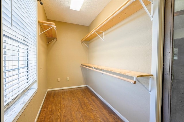 walk in closet with dark wood-type flooring