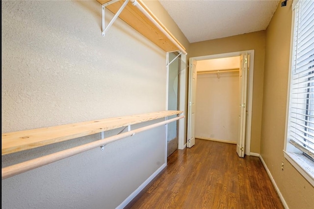 walk in closet featuring dark hardwood / wood-style floors