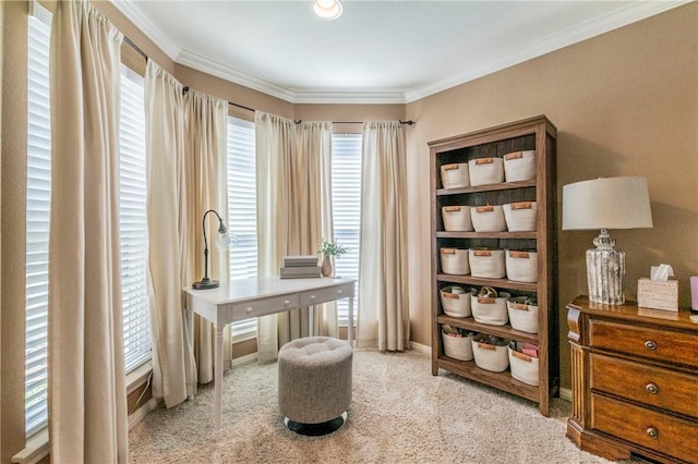 carpeted office space featuring a healthy amount of sunlight and ornamental molding