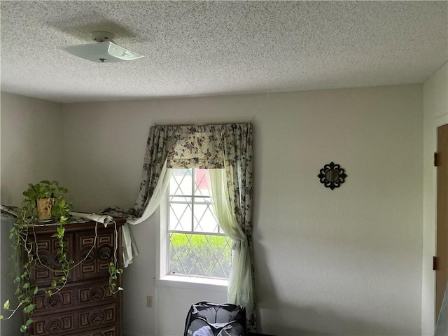 interior space with a textured ceiling