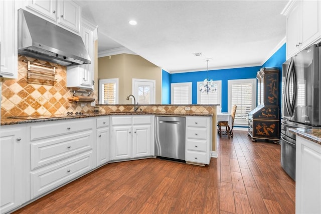 kitchen featuring under cabinet range hood, stainless steel appliances, white cabinets, and a sink