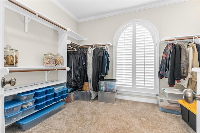 walk in closet with carpet