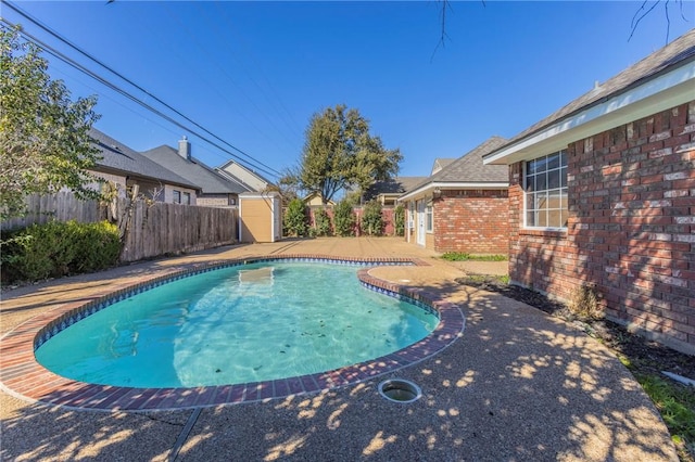 view of swimming pool with a patio and a shed