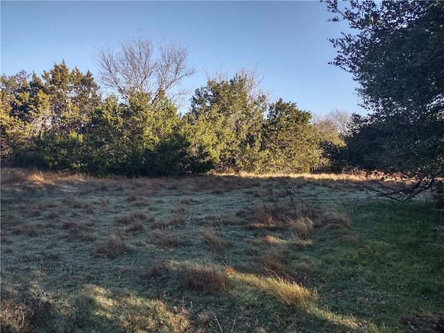 Listing photo 3 for 37024 Woodacre Loop, Whitney TX 76692