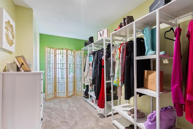 walk in closet featuring carpet floors