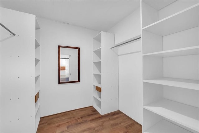 walk in closet featuring dark wood-type flooring