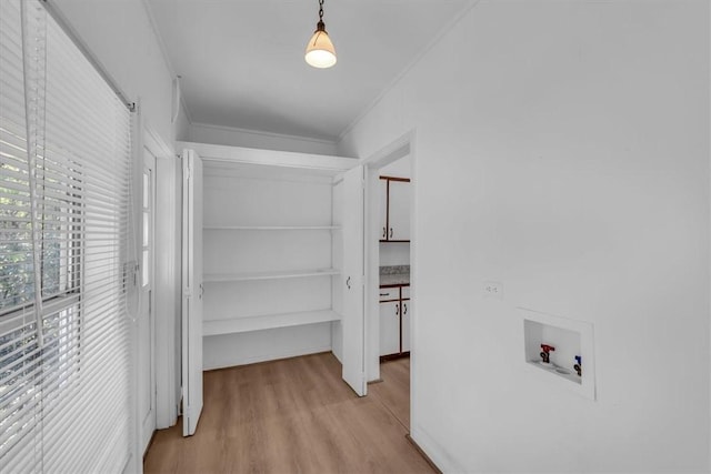 spacious closet featuring light wood-type flooring