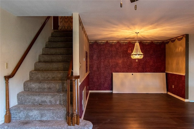 stairs with wood-type flooring