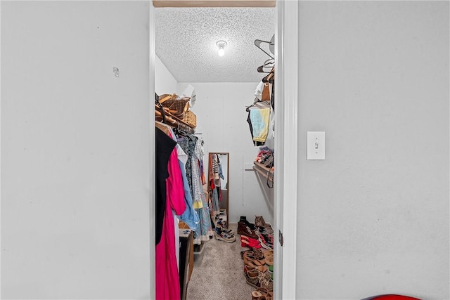 spacious closet featuring carpet