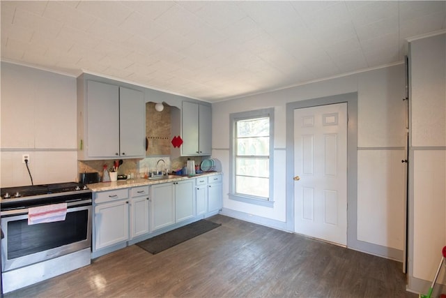 kitchen with stainless steel electric stove, dark hardwood / wood-style floors, ornamental molding, and sink