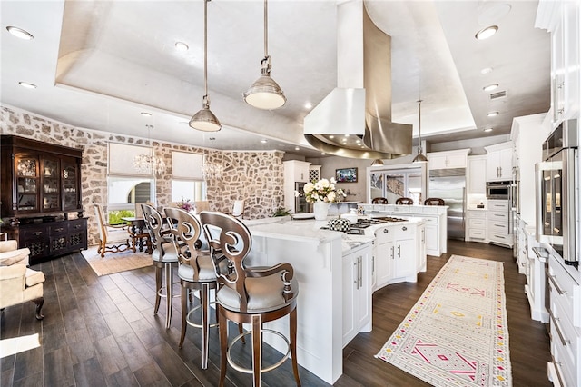 kitchen with appliances with stainless steel finishes, a raised ceiling, decorative light fixtures, dark hardwood / wood-style floors, and white cabinetry