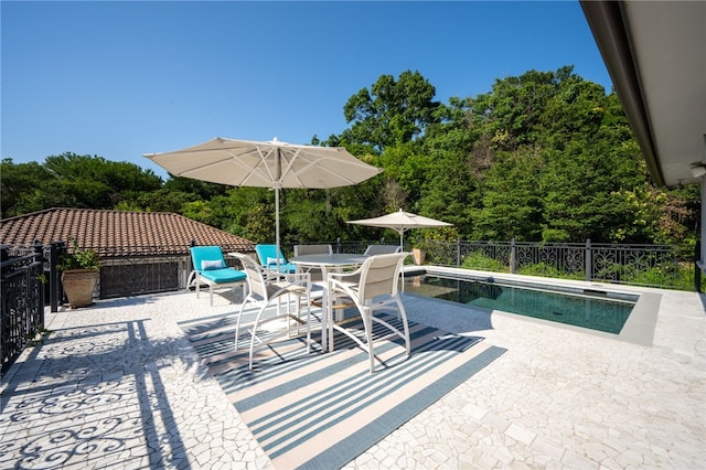 view of swimming pool with a patio area